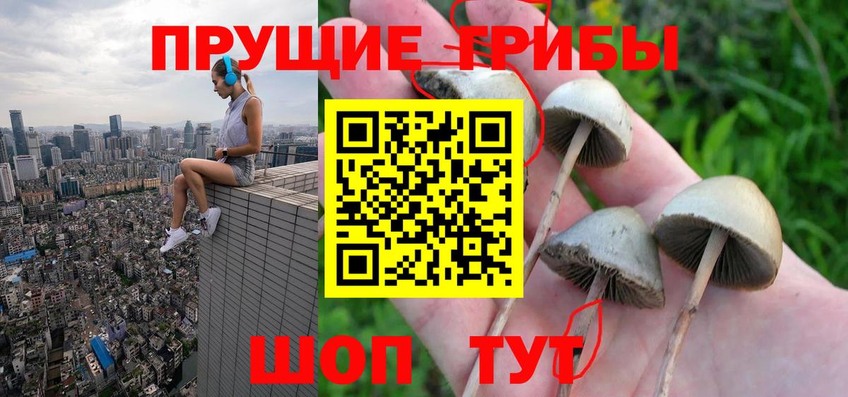 Псилоцибиновые грибы прущие грибы  Вход с VPN  Артёмовский 